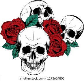 A human skull with roses on white background