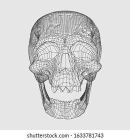 Human skull, scary, locally deformed in a cartoon style in black lines on a white background, front view, geometric polygons of cranial line art. Wire construction. Atomic lattice. Vector illustration