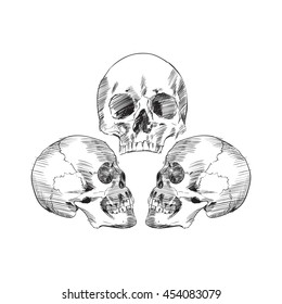 Human skull set vector illustration hand drawing sketch, drom different angles, isolated on white background