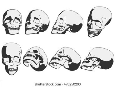 Human skull set.  Vector illustration.