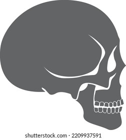 Human Skull Side View. Head Anatomy Icon