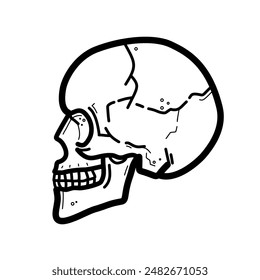 human skull, side view - vector icon	