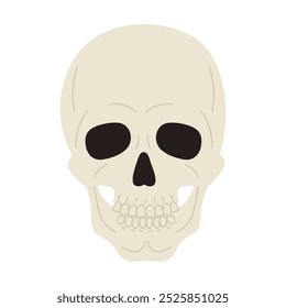 Cráneo humano. Cabeza de esqueleto. Símbolo de Halloween y muerte. Ilustración plana de Vector aislada sobre fondo blanco