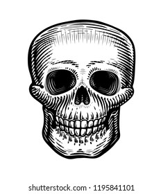 Human skull, sketch. Hand-drawn skeleton, zombie or dead. Vintage vector illustration