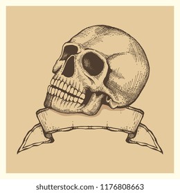 Human skull sketch with ribbon banner - vector vintage style label or poster illustration