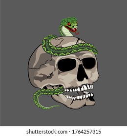 Human Skull with Snake Illustration Vector