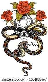 human skull, snake and roses flowers. Isolated vector illustration