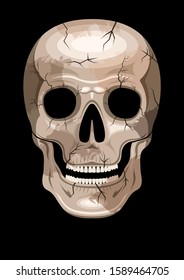 human skull with spots and cracks, front view, isolated on a black background. Vector illustration stock.