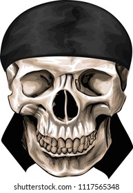 Human skull - stylized vector art