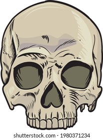 cráneo humano con ilustración vectorial de dientes aislado