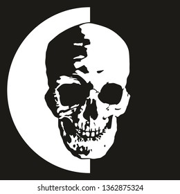 The human skull, terrible head of evil, on a white and black background. Illustration isolated on white and black.
