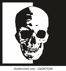 The human skull, terrible head of evil, on a white and black background. Illustration isolated on white and black.