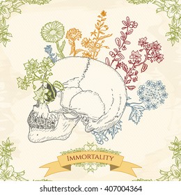 Human skull through which the flowers grow 