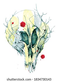 Calavera humana con árboles. Ecosistema. Naturaleza
