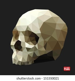 Human Skull in a Triangular Style. Vector Illustration.