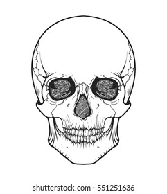 Human skull tribal style.Tattoo blackwork. Vector hand drawn illustration. Boho design