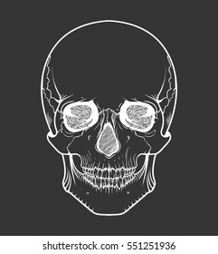 Human skull tribal style.Tattoo blackwork. Vector hand drawn illustration. Boho design