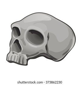 Of a human skull. Vector.