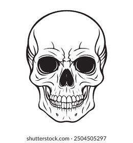 Human Skull vector art design