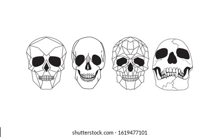 Human Skull Vector Art. Hand drawn illustration.