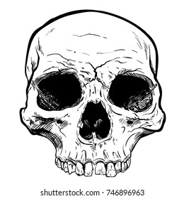 Human Skull Vector Art. Hand drawn illustration.