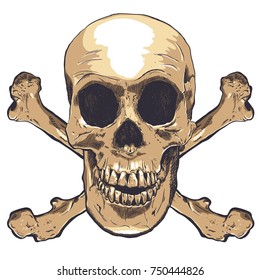 Human Skull Vector Art. Hand drawn illustration.