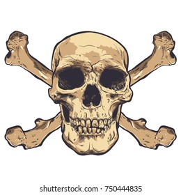 Human Skull Vector Art. Hand drawn illustration.