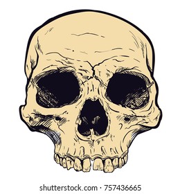 Human Skull Vector Art on background. Hand drawn illustration.
