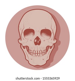 Human skull vector art. Stippled texture.