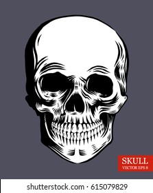 Human skull. Vector black and white illustration, hand drawn style.