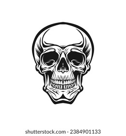 human skull vector design style