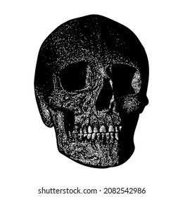 Human skull vector hand drawing illustration in scratch style. vector isolated element on the white background