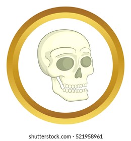 Human skull vector icon in golden circle, cartoon style isolated on white background