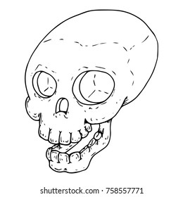 The human skull. Vector illustration.