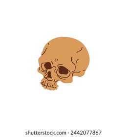 Human skull vector illustration. Cartoon scull icon, braincase bones. Wicca pagan faith symbol, esoteric and occult item isolated on white background. Dead person head