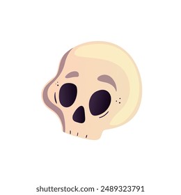 human skull vector illustration. Cartoon scull icon, braincase bones. Wicca pagan faith symbol, esoteric and occult item. Dead person head isolated on white background