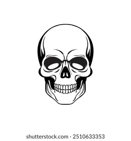 Human Skull Vector Illustration Concept