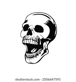 human skull vector illustration design