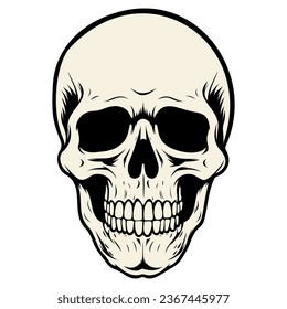 Human skull vector illustration. Halloween symbol of death, skeleton head, day of the dead.