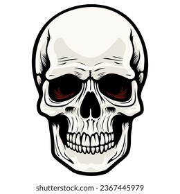 Human skull vector illustration. Halloween symbol of death, skeleton head, day of the dead.