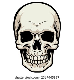 Human skull vector illustration. Halloween symbol of death, skeleton head, day of the dead.