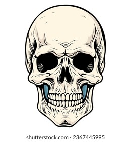 Human skull vector illustration. Halloween symbol of death, skeleton head, day of the dead.