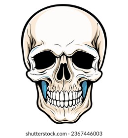 Human skull vector illustration. Halloween symbol of death, skeleton head, day of the dead.