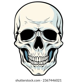 Human skull vector illustration. Halloween symbol of death, skeleton head, day of the dead.