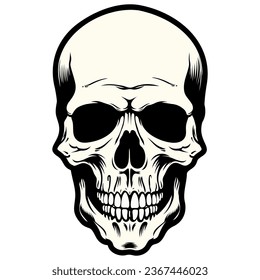 Human skull vector illustration. Halloween symbol of death, skeleton head, day of the dead.