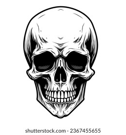 Human skull vector illustration. Halloween symbol of death, skeleton head, day of the dead.