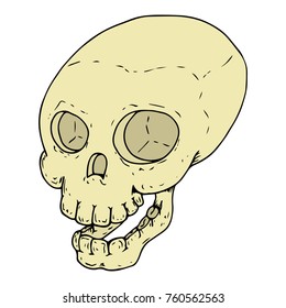 Human skull. Vector illustration of a human skull. Hand drawn human skull. Doodle skull.