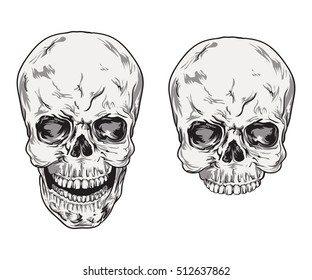Human skull vector. Illustration isolated on white