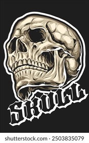 human skull vector illustration skull type human bones drawings art logo