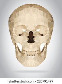 Human Skull Vector Isolated Geometric Modern Stock Vector (Royalty Free ...